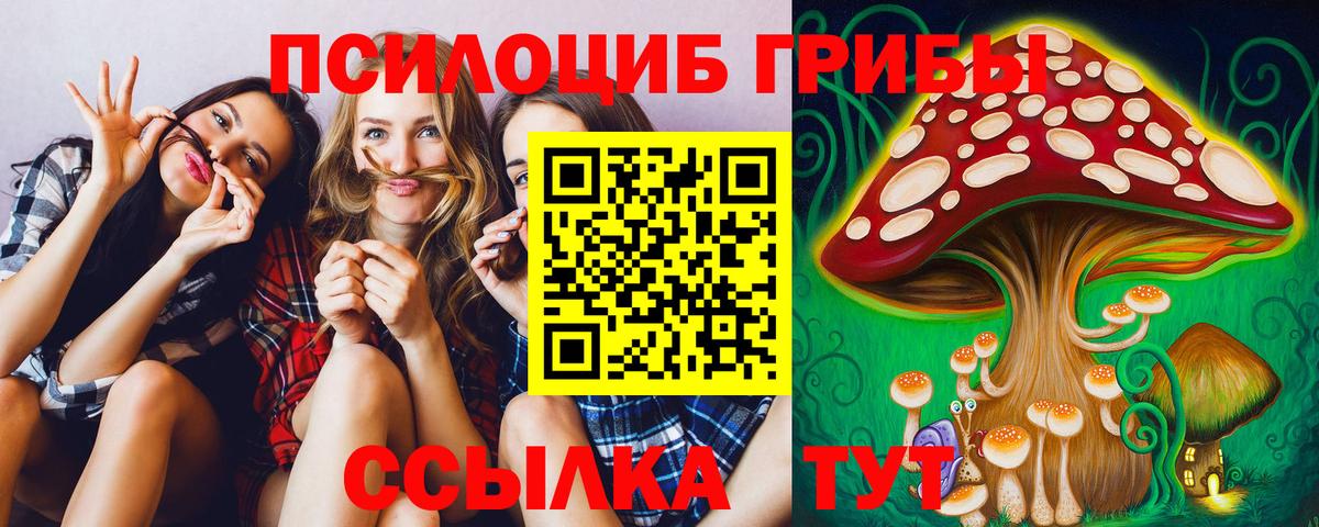 Южно-Сахалинск  Псилоцибиновые грибы GOLDEN TEACHER  Вход с VPN 