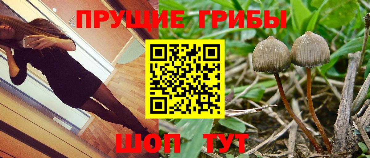 Галлюциногенные грибы мухоморы Южно-Сахалинск